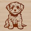 Close-up illustration of a sitting Havanese dog breed with soft fur.