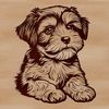 Line Drawing of a Havanese Dog Close-up of a cute adult Havanese dog sitting on a surface, depicted as a simple yet detailed line drawing.