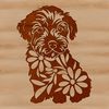 Havanese in a Floral Setting A small breed dog with long fur sitting in a floral setting.