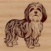 Cute Havanese Dog Icon A small standing dog with curly fur and sweet expression.