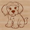 Close-up portrait of a sitting Havanese dog with expressive eyes and fluffy fur.