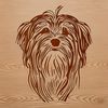 Whimsical Havanese Head Study Vector Art A high-quality vector illustration of a Havanese dog breed featuring its distinctive head features.