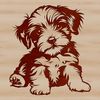 Adorable Small Dog Breed Silhouette A small to medium-sized dog breed with a long coat, sitting on its haunches.