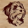 A detailed illustration of a small breed dog's head with distinctive facial features.