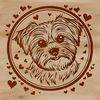 A small, fluffy dog breed with a sweet expression, surrounded by love hearts.