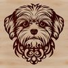 Adorable Havanese Pup Portrait Small breed Havanese dog with ornate features.