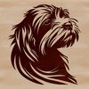 Havanese Breed Clip Art Design A close-up illustration of a Havanese dog's head, suitable for vector design and editing.
