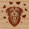 Stylized Havanese Dog Design An SVG design featuring a stylized Havanese dog, suitable for cutting machine stencils or digital art projects.