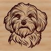 Free Havanese Clip Art Vector Image A small dog breed illustration featuring a Havanese with a rounded head.
