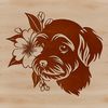 Havanese Dog Portrait with Floral Collar A portrait of a Havanese dog with a floral-patterned collar.