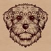 Havanese Breed Dog Vector Design Vector image of a Havanese breed dog with intricate design.