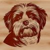 White Havanese Dog Breed Vector Clip Art Small white dog breed with curly fur and friendly facial expression.