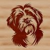 SVG graphic of a Havanese head portrait.