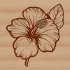 A detailed illustration of a hibiscus flower with intricate details and curves.