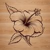 Colorful Hibiscus Bloom A vibrant hibiscus flower with large, showy petals in a variety of colors.