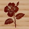 Beautiful Blooming Hibiscus Plant Graphic A high-quality illustration of a hibiscus flower with five large, showy petals and a prominent center.