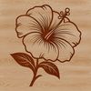 A colorful illustration of a single hibiscus flower with large petals and a prominent center.