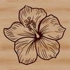 Close-up illustration of a single hibiscus flower, suitable for vector design and digital crafting.