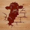 Highland Cow Portrait with Distinctive Horns Close-up illustration of a Highland cow's head with distinctive horns and rugged features.
