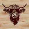A stylized illustration of a Highland cow wearing sunglasses on its head, suitable for various design projects.