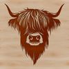 Farm Animal SVG Design - Highland Cow Head A detailed illustration of a Highland Cow's head with distinctive markings.