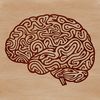 Beautiful Human Brain SVG Design A detailed illustration of the human brain's anatomy, perfect for educational purposes and vector graphics.