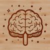 Beautiful Brain Structure Design Element Anatomical illustration of the human brain, depicted in detail to show its structure and layers.
