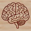 Human Brain Illustration Illustration of the human brain's anatomy, suitable for educational or design purposes.