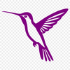Beautiful Beaked Bird Silhouette Vector illustration of a hummingbird in flight, featuring a colorful bird with iridescent feathers and long beak.
