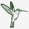 An intricate drawing of a hummingbird, created as a scalable SVG design suitable for digital use.