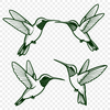 Beautiful Hummingbird SVG Design An iconic vector design featuring a hummingbird with intricate details.