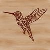 Close-up illustration of a wild hummingbird's head and body, featuring delicate feathers and an ornate beak.