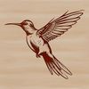A colorful, small bird with iridescent feathers, hovering in mid-air.