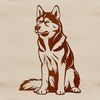 Cute Sitting Husky Dog Image A sitting Siberian Husky breed dog with a calm expression.