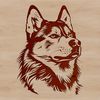 Cute Siberian Husky Face Illustration A digital illustration of a Siberian Husky's head, suitable for vector art and graphics.