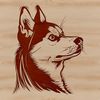 An illustration of a Husky dog's head from various angles in vector format.