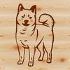 Fox-Faced Dog Breed Portrait A small to medium-sized dog breed with fox-like features, standing on its hind legs.