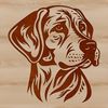 A detailed illustration of a Labrador Retriever's head, suitable for vector design and editing.