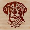 A high-quality digital illustration of a Labrador Retriever's head, suitable for various uses such as vector art or clip art.
