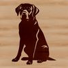 A sitting Labrador Retriever, ideal for use as vector art in designs such as stencils, templates, and clip art.