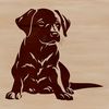A Labrador Retriever sitting on its haunches, depicted as a vector illustration.
