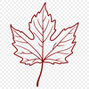A detailed illustration of a maple leaf in vector format, suitable for graphic design and printing.
