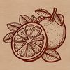 Lemon Fruit Vector Design Free Download A yellow citrus fruit with a smooth skin and prominent seeds.