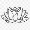Delicate Lotus Blossom Illustration An intricately designed lotus flower vector graphic.