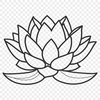 Beautiful Lotus Bloom in Various Stages A stylized illustration of a lotus flower in various stages of bloom.