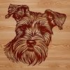 Miniature Schnauzer Silhouette Vector A vector illustration of a Miniature Schnauzer's head, suitable for various design applications.
