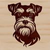 Fluffy Face of a Beloved Breed A small, fluffy dog breed with a distinctive beard and mustache, often kept as a pet.