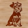 Friendly Face - Miniature Schnauzer Portrait A small breed dog with a distinctive beard and eyebrows, sitting in a relaxed pose.