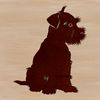 A small breed dog with a distinctive beard and eyebrows sitting on its haunches, ideal for vector art designs.