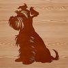 A small dog breed sitting on its hind legs, identified as a miniature schnauzer.